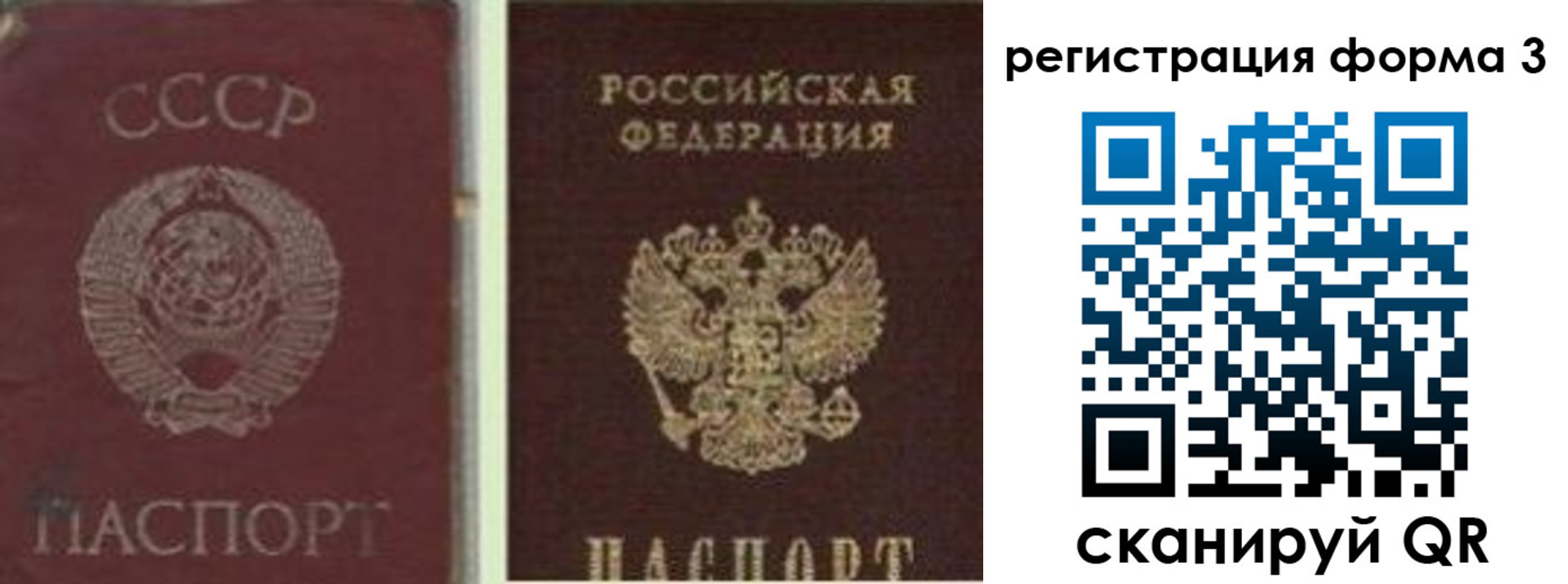 прописка для школы в Похвистнево